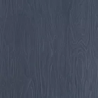 Formica F9229 Dark Sky Birchply swatch