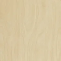 Formica F8910 Raw Birchply swatch