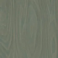 Formica F8911 Green Slate Birchply swatch