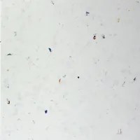 Alba variant 2