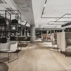 Dwell chairs and Senso Sofa in Fora Forms showroom