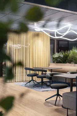 Bud chairs from Fora Form Interior by Zinc foto by Thomas Mellbye