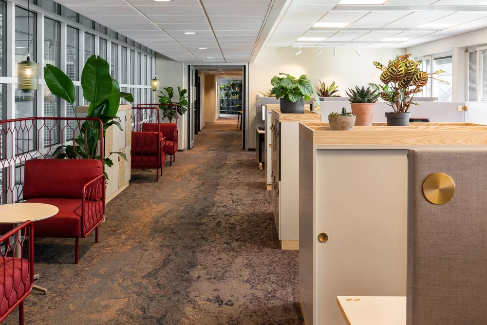 Kove multistoler hos Plantagen Fora Form