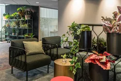 Kove stoler hos Plantagen fra Fora Form