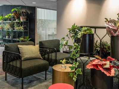 Kove stoler hos Plantagen fra Fora Form