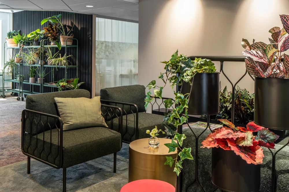 Kove stoler hos Plantagen fra Fora Form