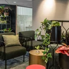 Kove stoler hos Plantagen fra Fora Form