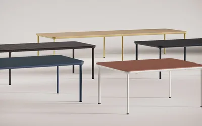 Fora Form VEVE Multiple Selecations