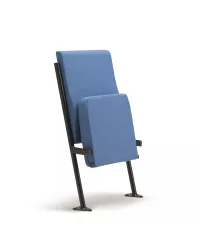 Audio